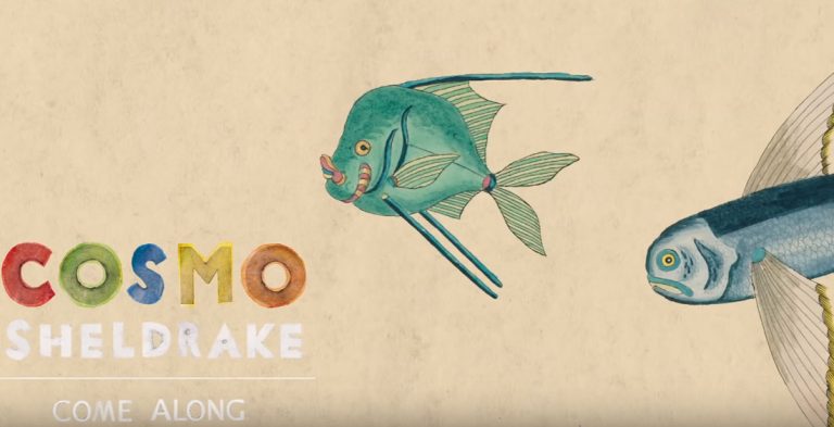 Перевод песни  Cosmo Sheldrake — Come Along