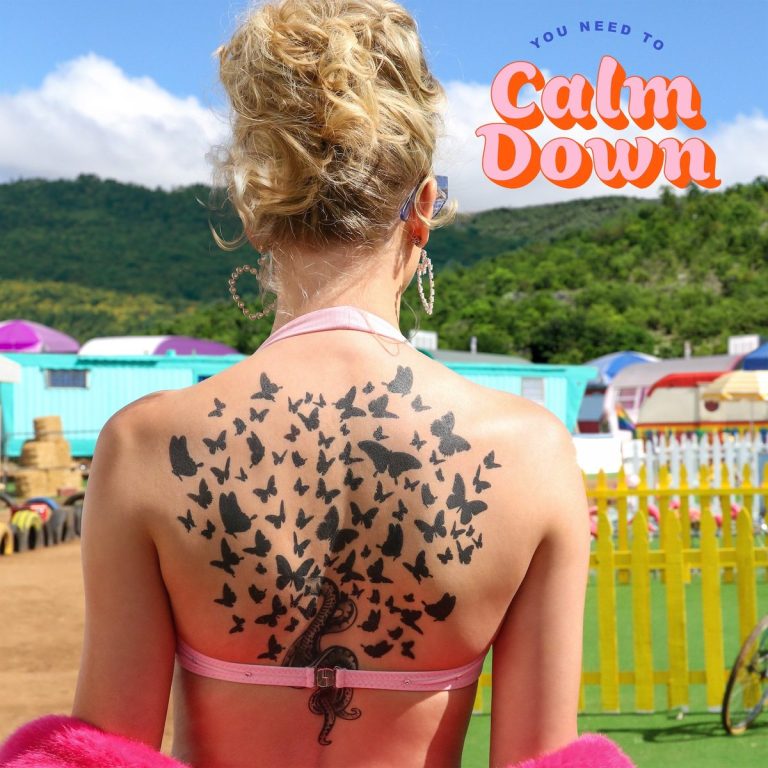 Перевод песни  Taylor Swift — You Need To Calm Down